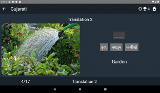 Gujarati Language Tests screenshot 18