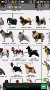 Dog Breeds screenshot 0