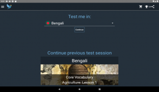 Bengali Language Tests screenshot 4