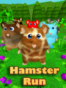 Hamster Dash: 3D Run screenshot 2