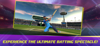 Epic Cricket - Real 3D Game screenshot 2