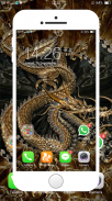 Dragon Wallpaper screenshot 0