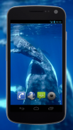 4K Whales Video Live Wallpaper screenshot 1