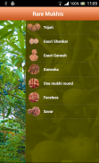 Rudraksha screenshot 3