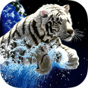 White Tiger Live Wallpaper