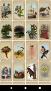 Tarot de l’amour Lenormand screenshot 1