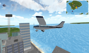 Flight Sim screenshot 12