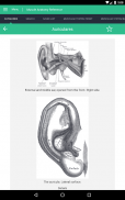 Muscle Anatomy Reference Guide screenshot 15