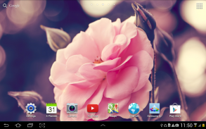 Rose Live Wallpaper screenshot 5