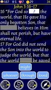 Play The Bible Word Match screenshot 10