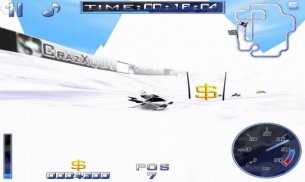 BobSleigh eXtreme screenshot 3