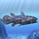 Coelacanth and ancient fish Icon