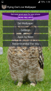 Flying Owl Live Wallpaper screenshot 5