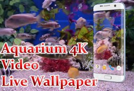 Aquarium 4K Live Wallpaper screenshot 0