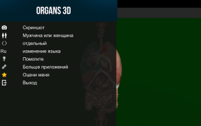 Внутренние органы в 3D (анатомия) screenshot 9