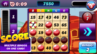 Bingo Patlaması screenshot 0