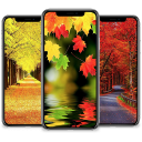 Autumn Wallpaper Icon