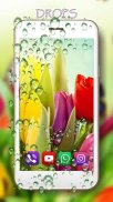 Springs Tulips Live Wallpaper screenshot 6