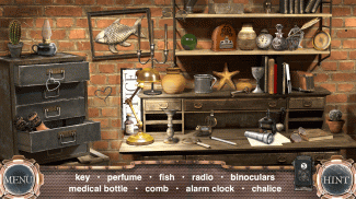 Time Machine: Hidden Objects screenshot 4