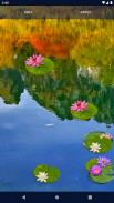 Water Lily Live Wallpaper screenshot 2