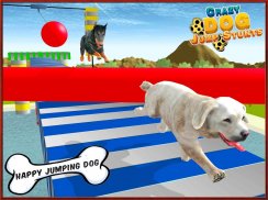 Crazy Dog Jump Stunt Sim 3D screenshot 8