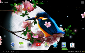 Sakura and Bird Live Wallpaper screenshot 0