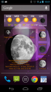 Moon Phases Widget screenshot 6