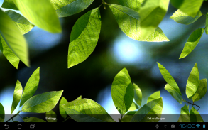 Fresh Leaves screenshot 8