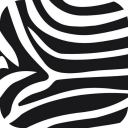 Zebra Print Wallpapers