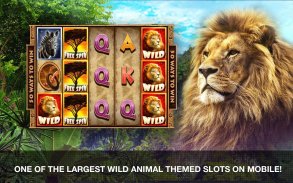 Wild Casino Slots screenshot 9