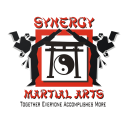 Synergy Karate Icon