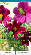 วอลล์เปเปอร์ดอกไม้ในฤดูใบไม้ผล screenshot 6