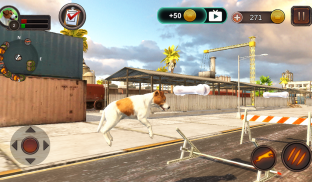 Jack Russell Terrier Simulator screenshot 8