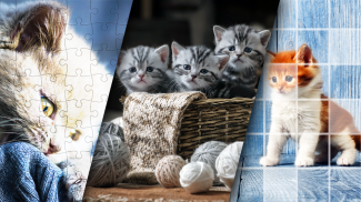 Cute Kitten Puzzle Kit & Wallpapers screenshot 0