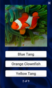 Fish Quiz screenshot 7