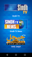 Sindh TV Network screenshot 3