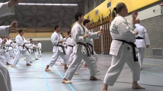 Karate training screenshot 1