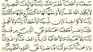 القرآن الكريم - برواية قالون screenshot 5