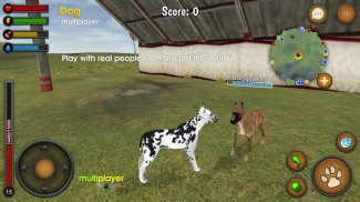 Dog Multiplayer : Great Dane screenshot 4