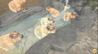 Capybara Zoo screenshot 8