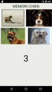 Quiz de culture générale sur les races de chiens screenshot 0