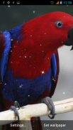 Parrot Live Wallpaper screenshot 3