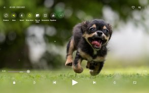 Video Player HD - All format video player screenshot 1