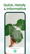 Florify: AI Plant Identifier screenshot 1