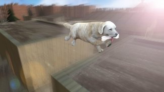 Dog Stunts & Simulator 3D - Crazy Dog Games screenshot 3