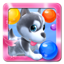 Puppy Bubble icon