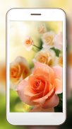 Roses Gallery Live Wallpaper screenshot 1