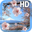 Sakura Live Wallpaper Icon