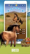 Howrse - Horse Breeding Game screenshot 7