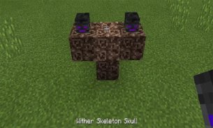 Ender Wither Addon for MCPE screenshot 2